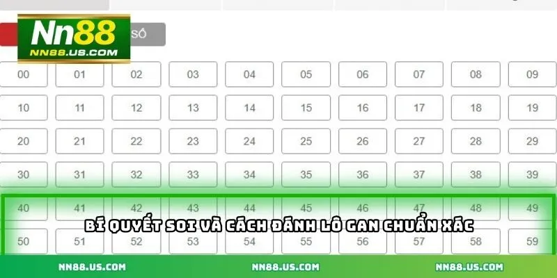 Bí quyết soi và cách đánh lô gan chuẩn xác dành cho người mới