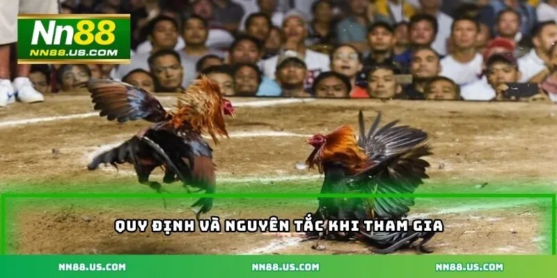 Quy định và nguyên tắc khi tham gia đá gà cựa sắt