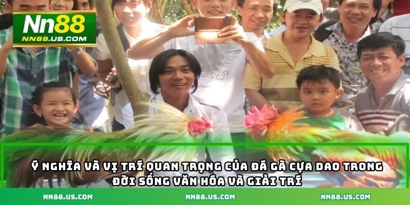 Ý nghĩa và vị trí quan trọng của đá gà cựa sắt trong đời sống văn hóa và giải trí