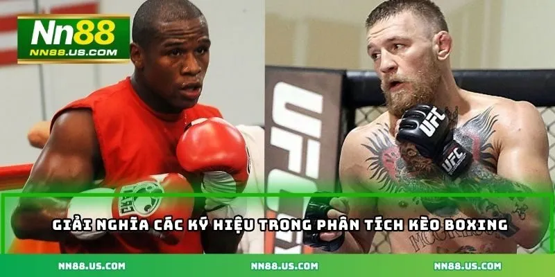 Giải nghĩa các ký hiệu quan trọng trong phân tích kèo boxing