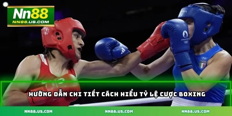 Hướng dẫn chi tiết cách hiểu tỷ lệ cược boxing dành cho người mới bắt đầu
