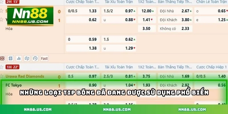 Những loại tip bóng đá hôm nay đang được sử dụng phổ biến